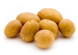 98068-98073-manss-frischeservice-kartoffeln_600x600