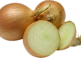 Zwiebeln Zwiebeln Kleinsägmühlerhof Altleiningen