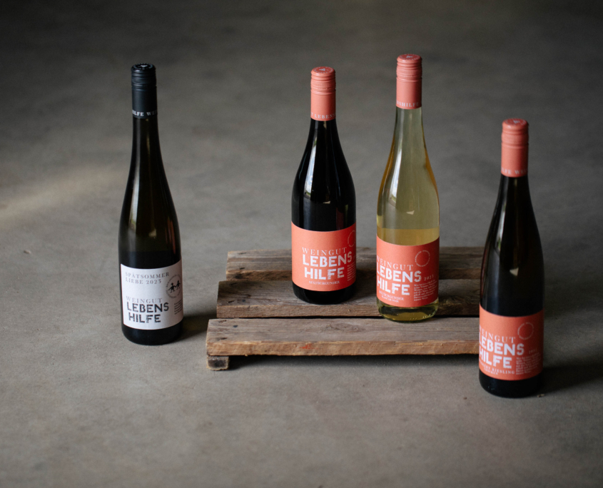 Lebenshilfe_20240410_web_©greiner-medienagenten_112-7963